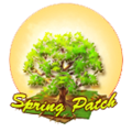 Spring Tree.png