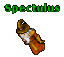 Spectulus.gif