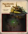 Mycobiontic Beetle