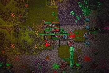 Mushroom Fields Raid.jpg