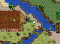 Coletando a Greasy Wool