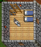 Fibula Village, Tower Flat - Tibia Wiki - A Enciclopédia do Tibia