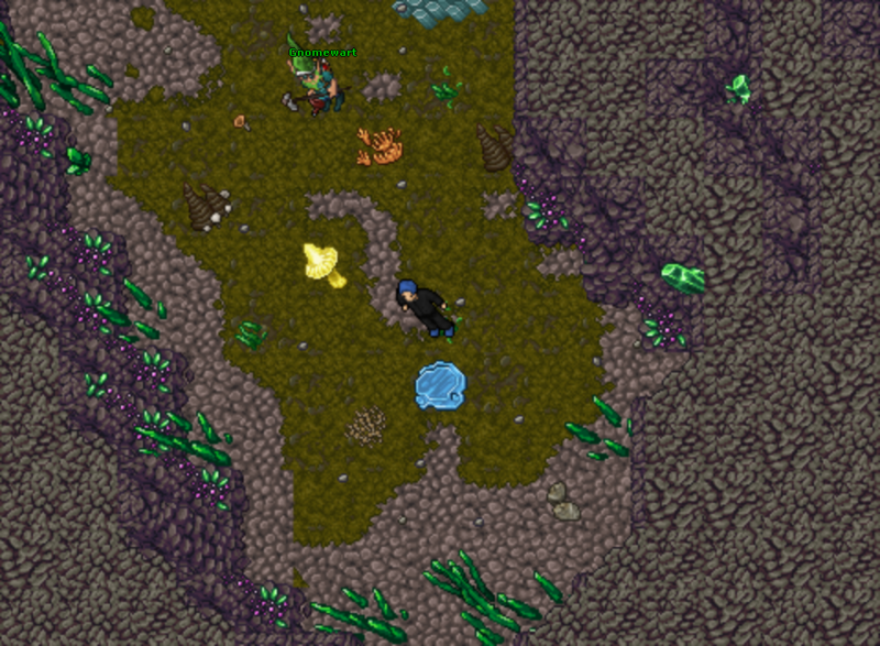 Arquivo:Bigfoots NPC Gnomewart Local.png