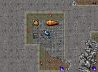 Lion's Rock - a noroeste de Darashia, logo ao passar na Mystic Flame que dá acesso aos andares inferiores (33122,32305,8:1aqui).