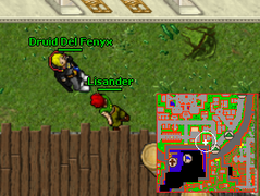 NPC Lisander (Yalahar City) - No andar térreo.