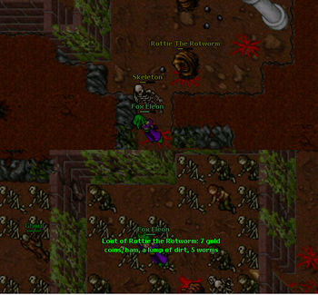 Rookgaard Rottie Raid.jpg