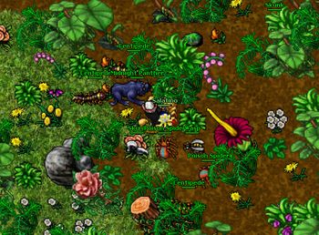 Midnight Panther Raid.jpg