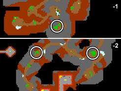 Localização das Blooming Purple Nightshade