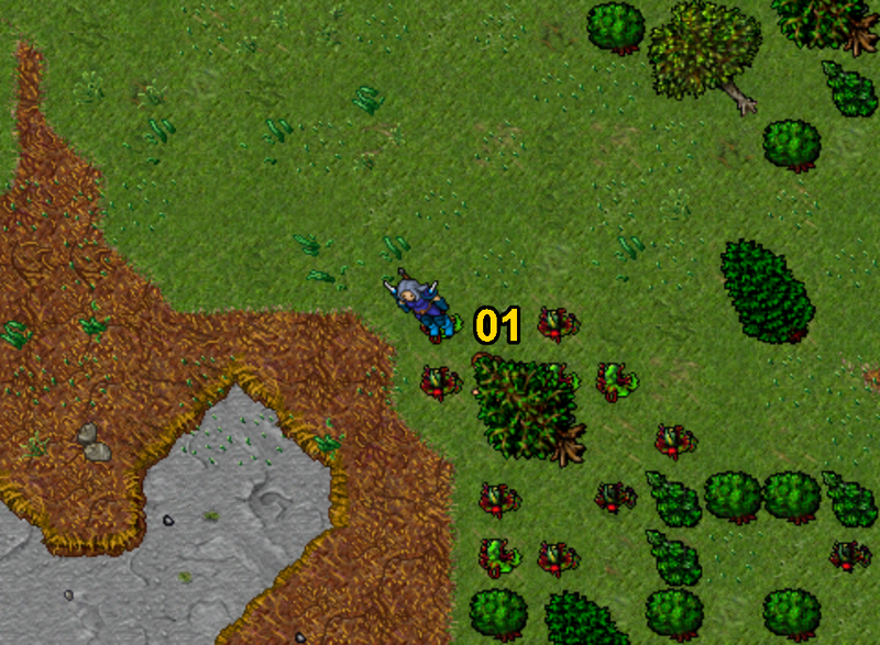 Arquivo:Venore Cyclops Camp 1-3.png