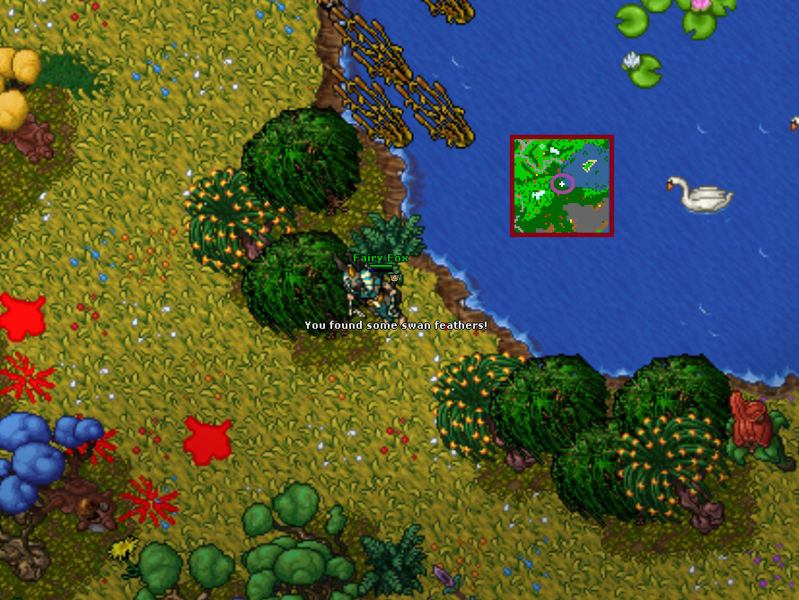 Arquivo:Swam Cloak Quest 10.png