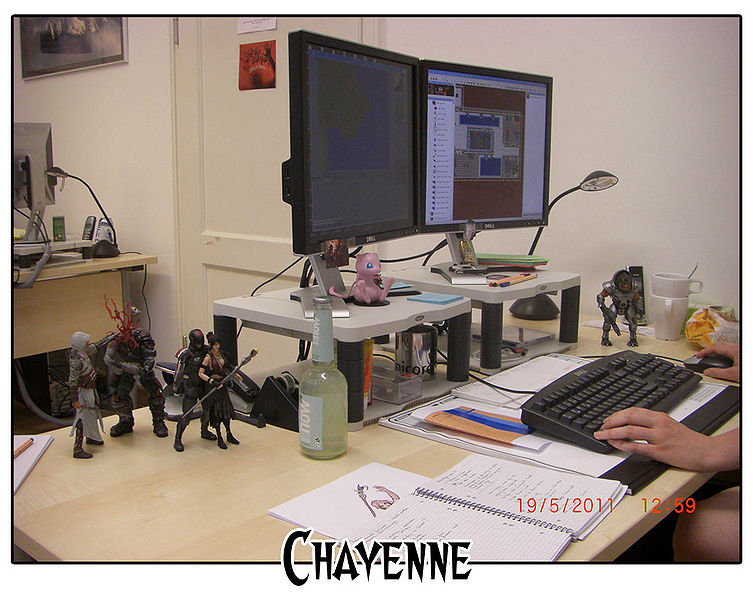 Arquivo:Chayenne desk.jpg