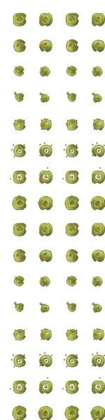 Arquivo:Outfitter 314.png