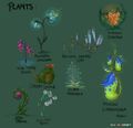 Novas plantas.