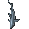 Shark.gif