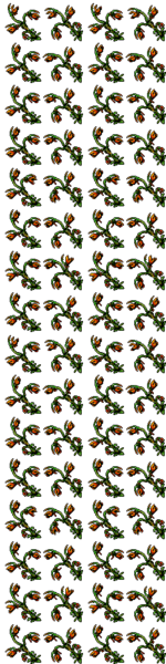 Arquivo:Outfitter 221.png