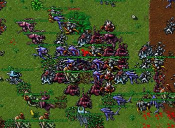 LB Quara Scout Raid.jpg