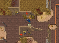 25 Years of Tibia Quest Half Empty Picture Album.png