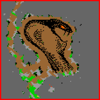 A cabeça de uma serpente, 33299,31141,9:1aqui.