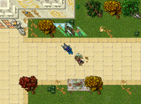 Yalahar, (32808,31231,7:2aqui).