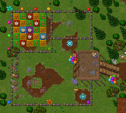 Lucky Dragon em Thais.