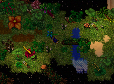 Chayennes realm2.png