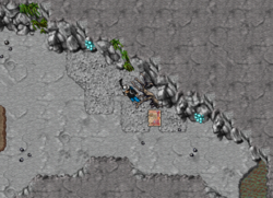 33364,31811,10:1aqui para pegar