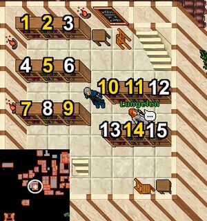 Thais Sorcerer Library.jpg