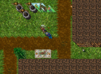 Port Hope, (32627,32761,7:2aqui).