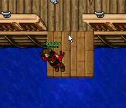 Você precisará de um Helmet of the Deep para poder entrar na área submersa.