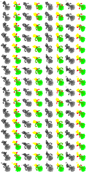 Arquivo:Outfitter 1119.png