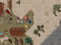 25 Years of Tibia Quest Hoe.png