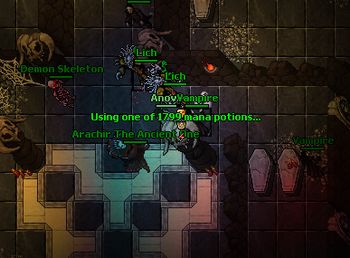 Arachir Raid2013.jpg