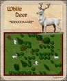 White Deer