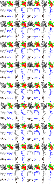 Arquivo:Outfitter 862.png