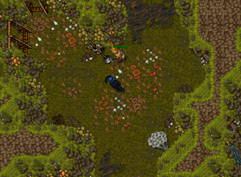 Arquivo:Bigfoots NPC Gnomeral.png