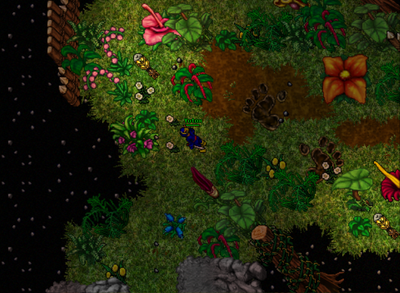 Chayennes realm3.png