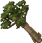 Sequoia Trunk.gif