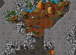 Coletando um Brown Mushroom