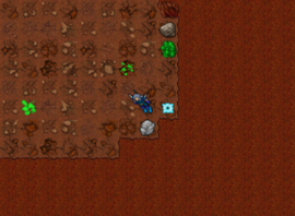 Ankrahmun: Daramian Scarab Caves, (33099,32686,11:1aqui).