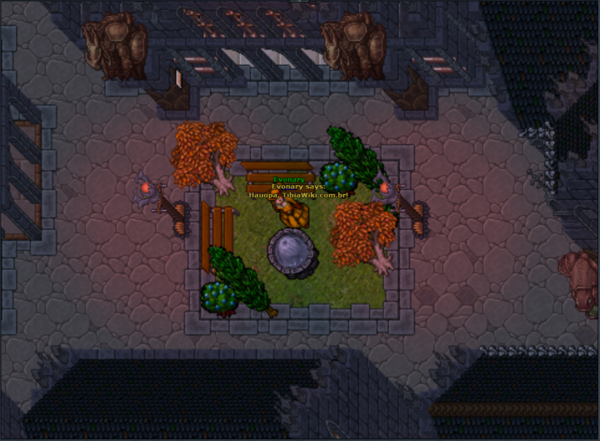 Entrevista Evonary 2015 3.png