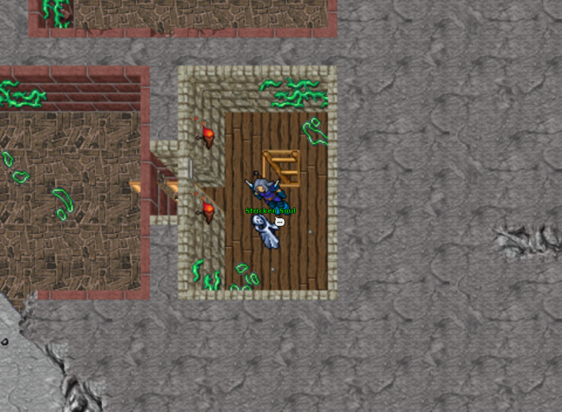 Arquivo:Cellar 2.png