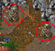 Dê use nessas pilhas de ossos.