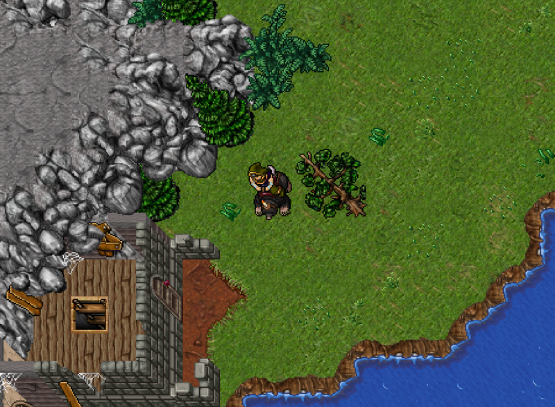 Arquivo:Lion Bastion-Porta01.png