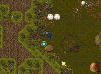 Gnomebase: Gnomegate Mushroom Gardens, (32902,31906,11:1aqui).