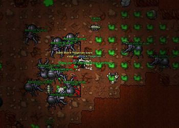 Ank Ancient Scarabs Raid.jpg