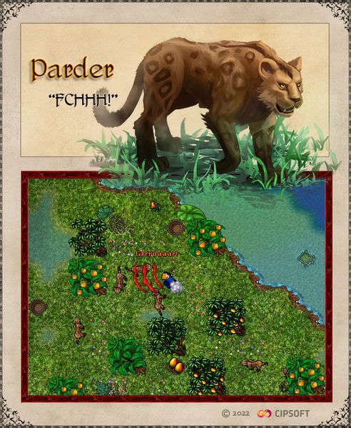 Arquivo:Artwork Parder.jpg